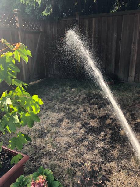 istock Watering the garden 1334541455