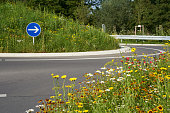 Wildflowers at the traffic circle. Round traffic island with blue road sign. Intersection on german road. Closeup. Germany.