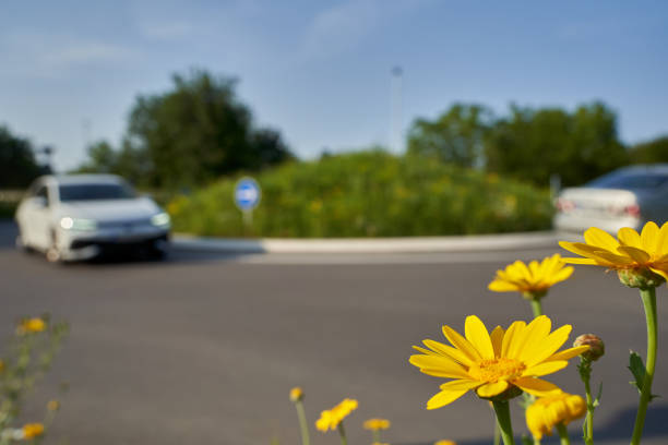 fleurs sauvages jaunes devant l’intersection de la route. rond-point avec 2 voitures en mouvement. faible profondeur de champ. allemagne. - curve road in front of sign photos et images de collection