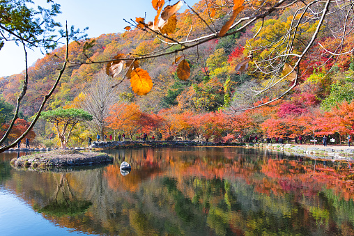 Fall Colors in Korea
