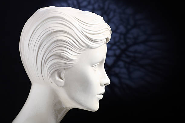 Variety of natural wigs and hairpieces on stand in specialized store
