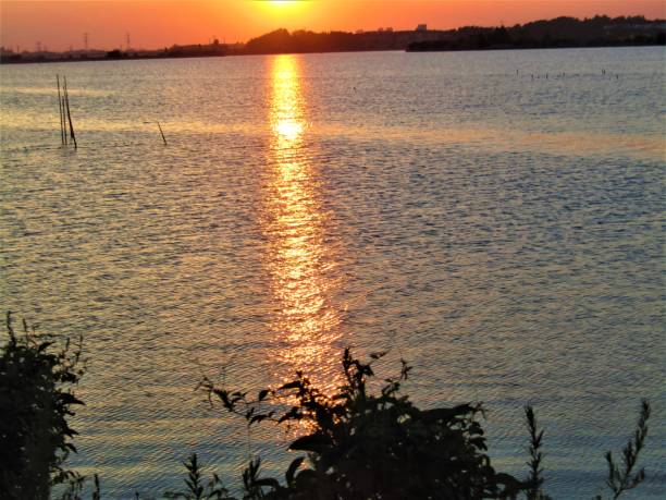 istock Japan. July. Sun setting into  Teganuma lake. 1334544911
