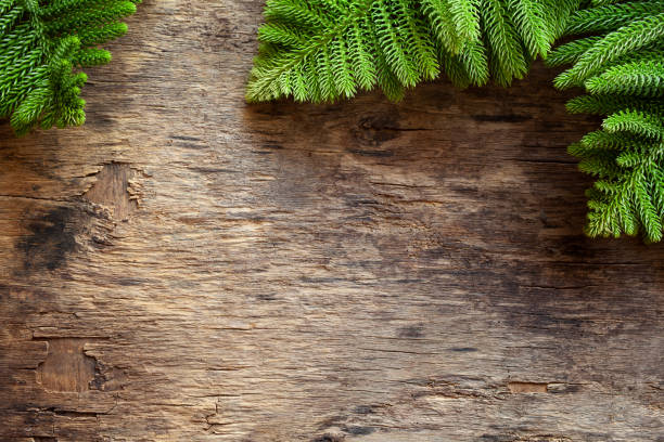 istock Pine tree branches on an old wooden board banner 1334547898