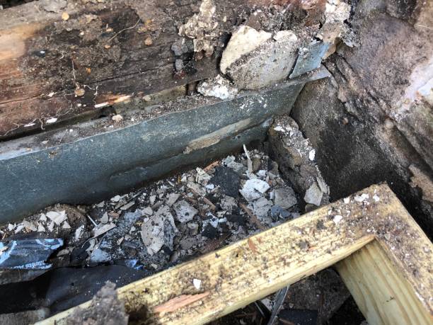 istock Rotted wood under a window on a home due to water damage 1334549526