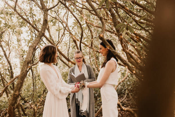 istock Same sex elopement wedding 1334549570
