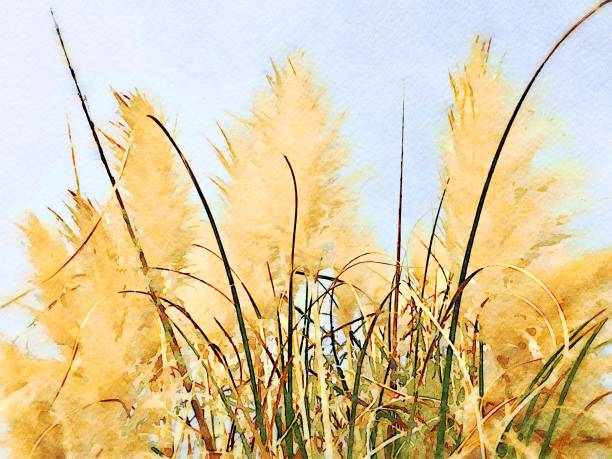 istock Watercolor Illustration of a Boho Style Pampas Grass 1334553434