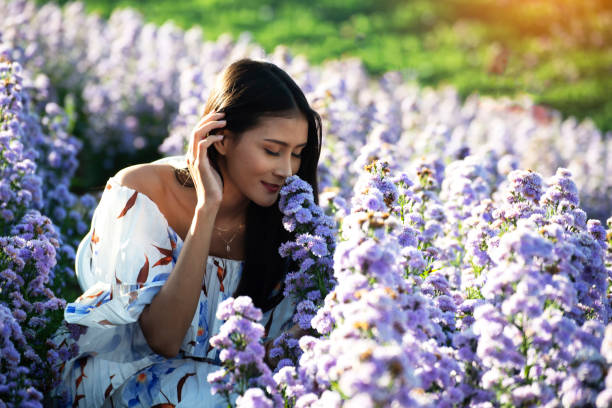 Beautiful girl in white dress in Margaret flower fields. Lifestyle Concept Beautiful girl in white dress in Margaret flower fields. Lifestyle Concept irish travellers photos stock pictures, royalty-free photos & images