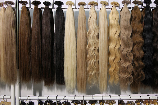 Muestras de pelo largo, una gran selección de rubia a morena, lanuda y rizada photo