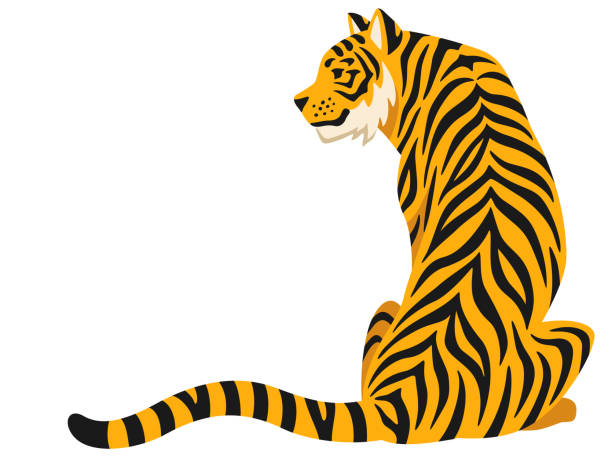 Illustration of a cool tiger sitting facing back Clip art of a cool tiger sitting with its back to you tiger illustrations stock illustrations