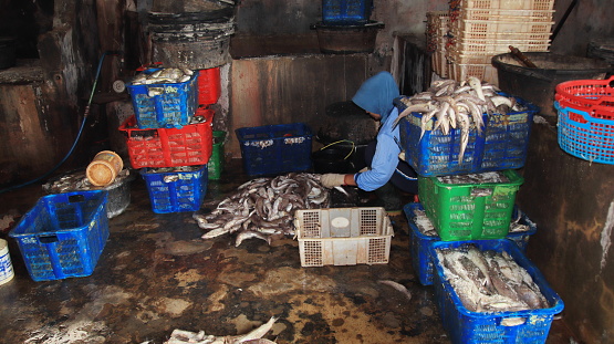 Workers processing fish in the fish drying industry, Batang, August 13, 2021