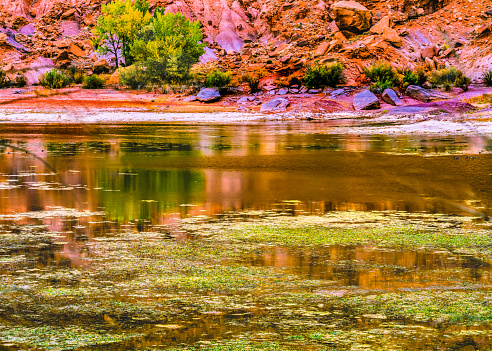 colorful Indian Creek Reflection red cliff Canyonlands National Park Needles District Utah