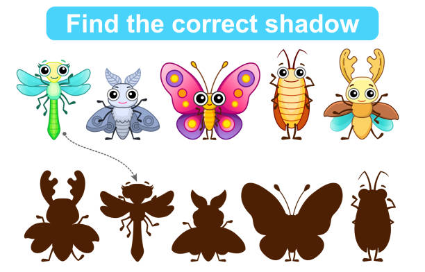 ilustraciones, imágenes clip art, dibujos animados e iconos de stock de encontrar la sombra correcta. juegos educativos para niños. conjunto de insectos para encontrar la sombra correcta. nivel de juego simple para niños en edad preescolar - silhouette stag beetle beetle insect