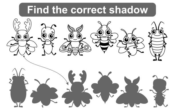 ilustraciones, imágenes clip art, dibujos animados e iconos de stock de encuentra la sombra correcta. juegos educativos para niños. páginas para colorear insectos, nivel de juego simple para niños en edad preescolar - silhouette stag beetle beetle insect