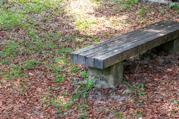 istock Old wooden bench surrounded by fallen leaves 1334579912
