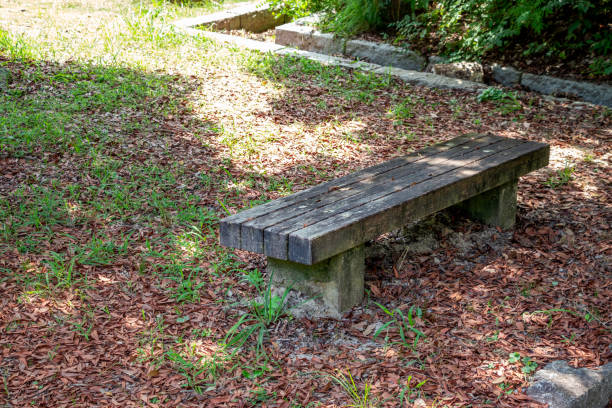 istock Old wooden bench in the park 1334579928