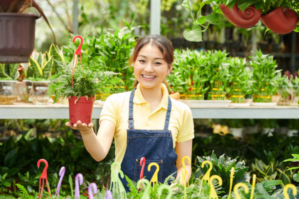istock Greenhouse Worker with Fern Plant 1334580019