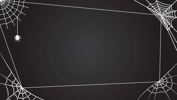 паутина с паукообразным вектором на черном фоне для дизайна хэллоуина. - silk black backgrounds pattern stock illustrations