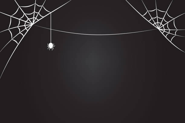 ilustraciones, imágenes clip art, dibujos animados e iconos de stock de telaraña con vector araña sobre fondo negro para el diseño de halloween. - silk black backgrounds pattern