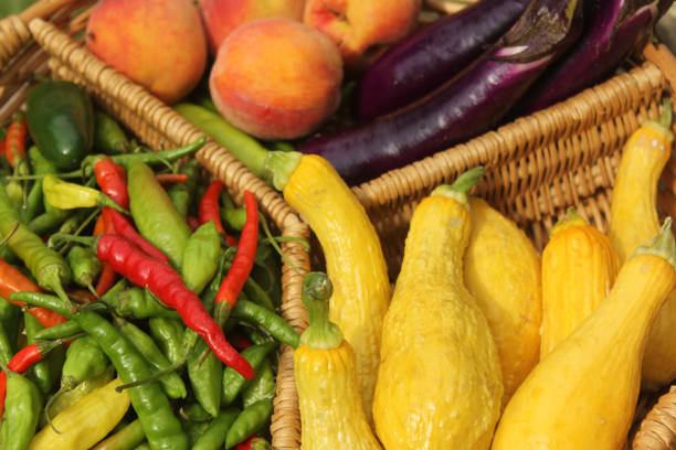 Organic Summer Vegetable Harvest on Table Outdoors