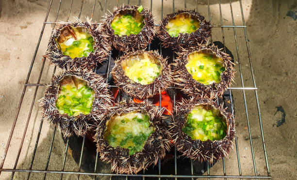 Grilled Sea Urchin With Egg And Scallion Oil