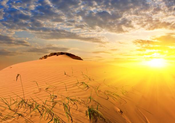 istock sandy desert at the sunset 1334587243