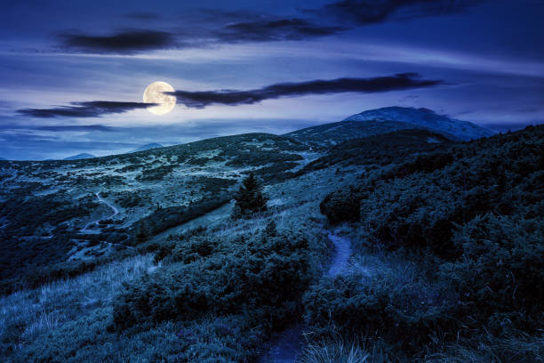 istock trail uphill the alpine meadow to the distant summit at night 1334589190