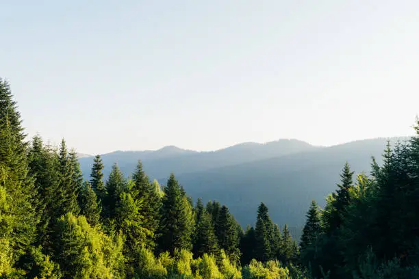 Mountain fresh morning air view