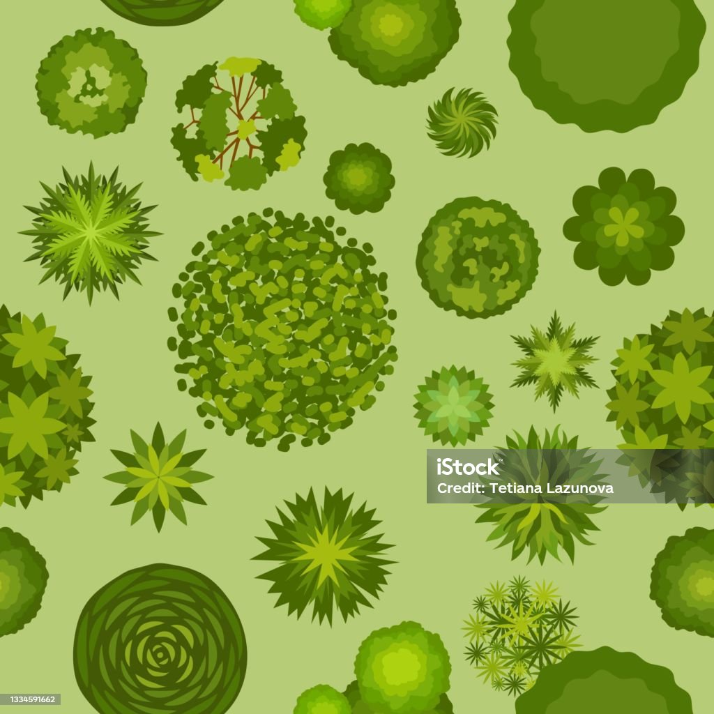 Forest Map Pattern Forest Landscape With Trees Top View Seamless Pattern Map Plan With ...