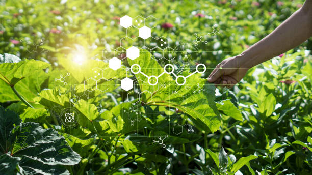 Hand touching plants green with biochemistry structure on background. Science of plant research, Chromosome DNA and genetic in nursery outdoor. stock photo