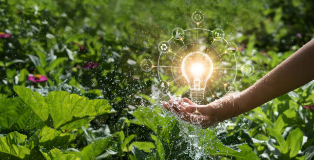 Hands of men holding and glowing light bulb in the splash water. Symbol. Against nature on green leaf background with icons energy sources for renewable, sustainable development. Ecology concept. Hands of men holding and glowing light bulb in the splash water. Symbol. Against nature on green leaf background with icons energy sources for renewable, sustainable development. Ecology concept. energy efficient lightbulb stock pictures, royalty-free photos & images