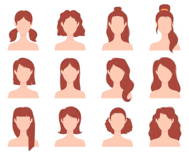 ilustraciones, imágenes clip art, dibujos animados e iconos de stock de peinado de moda femenina de dibujos animados para el pelo corto, largo y rizado. cabeza de mujer con cortes de pelo, cola de caballo y moño. conjunto de vectores de peinados de chica plana - cola de caballo de pelo