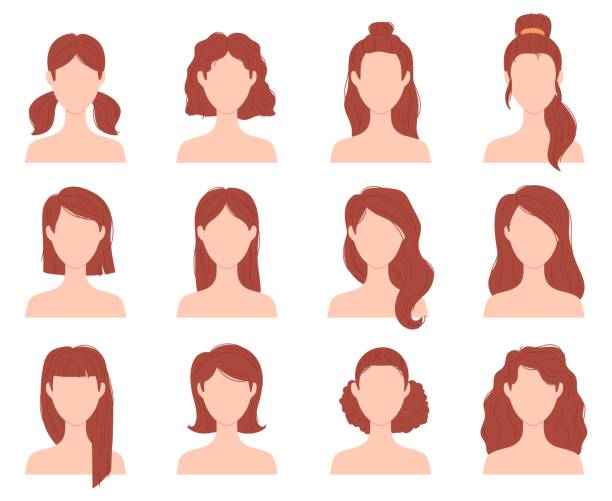 ilustraciones, imágenes clip art, dibujos animados e iconos de stock de peinado de moda femenina de dibujos animados para el pelo corto, largo y rizado. cabeza de mujer con cortes de pelo, cola de caballo y moño. conjunto de vectores de peinados de chica plana - ponytail side view women human head