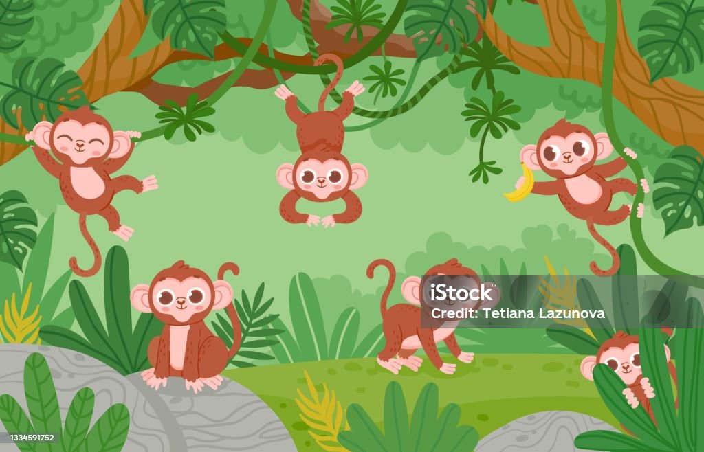 Cute Monkeys Hanging On Lianas Trees In Jungle Forest Cartoon Happy Monkey  Characters Play And Jump Childish Tropical Zoo Vector Landscape Stock  Illustration - Download Image Now - iStock