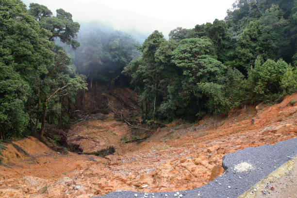 Photo of Foothill landslide