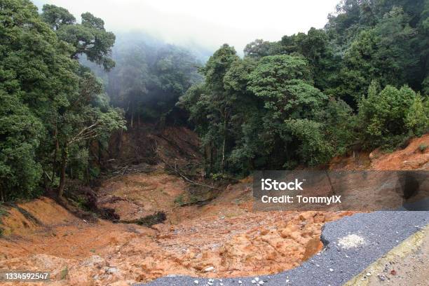 Foothill Landslide Stock Photo - Download Image Now - Landslide, Rain, Mud