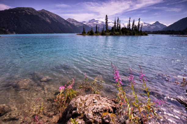istock Garibaldi Lake in summer, BC, Canada 1334592789