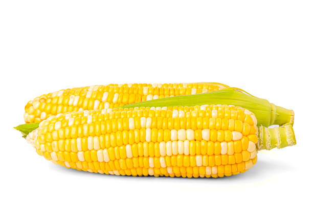 Two colors sweet corn, peeled