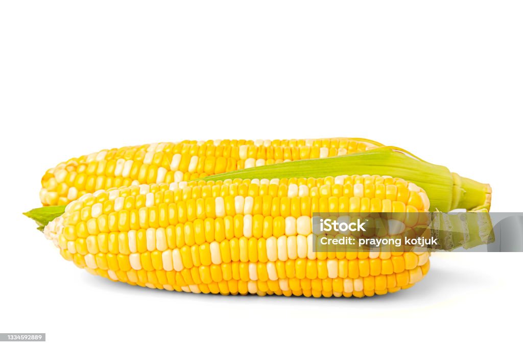 Two colors sweet corn, peeled Two colors sweet corn, peeled isolated on white background Corn - Crop Stock Photo