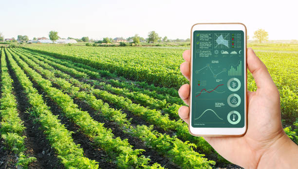 istock The farmer holds a phone and receives information parameters and data from agricultural field. Advanced technologies in agriculture. Agroindustry and agribusiness. European organic farming. Hi-tech 1334593066