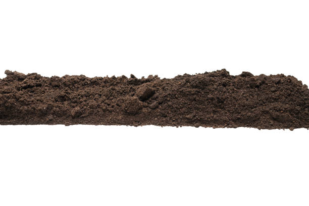 istock Black land for plant isolated on white background. 1334594390