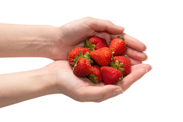 istock Strawberry kept in hands isolated on white background. 1334594432