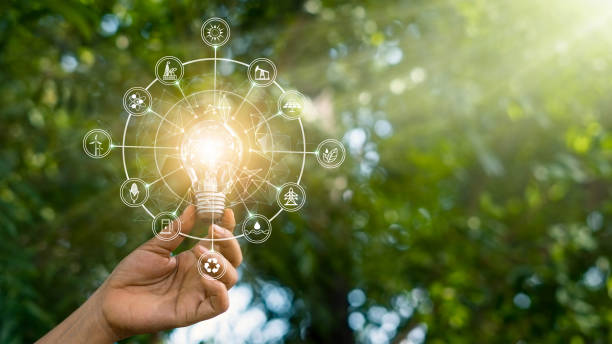 istock Hand holding light bulb against nature on green forest with icons energy sources for renewable, sustainable development. Ecology and environment concept. 1334595506