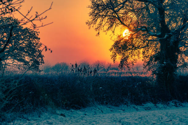istock Sunrise over fields on a frosty Christmas day 1334599275