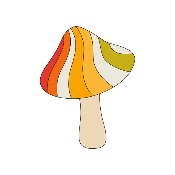 ilustrações de stock, clip art, desenhos animados e ícones de icon of a rainbow mushroom in a linear style. vector illustration of a mushroom isolated on a white background - fly agaric