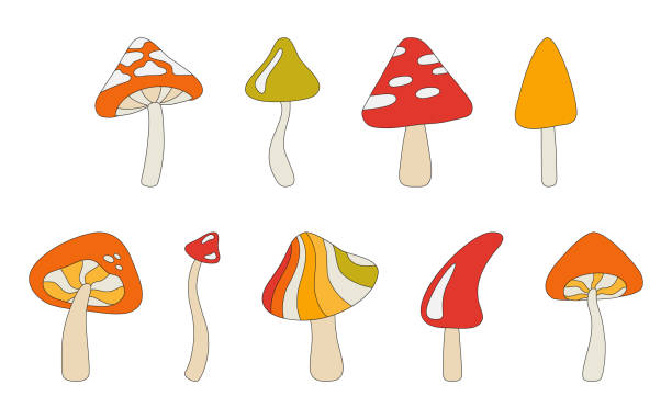 illustrazioni stock, clip art, cartoni animati e icone di tendenza di un set di funghi nello stile degli anni '70. funghi astratti psichedelici, stile hippie. illustrazione vettoriale isolata su uno sfondo bianco. - fungo commestibile