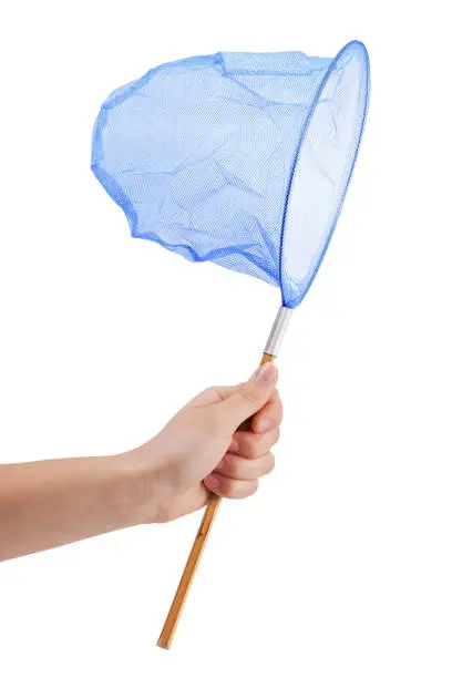 Photo of Blue butterfly net in human hand on white background