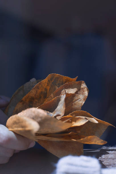 istock Hand holds a pile of fall leaves 1334605309