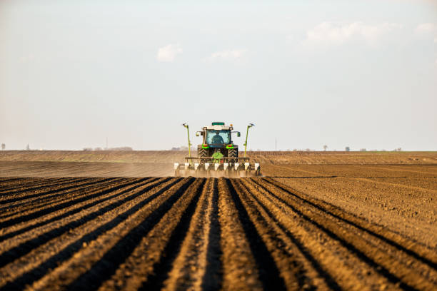 istock Farmer seeding, sowing crops at field. 1334607383