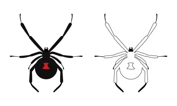 Vector illustration of Black Widow Poisonous Spider Vector Illustration. Halloween Clipart.