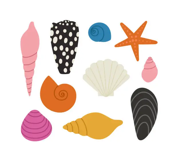 Vector illustration of Hand-drawn set of seashells and starfish.